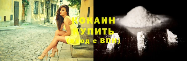 индика Абаза