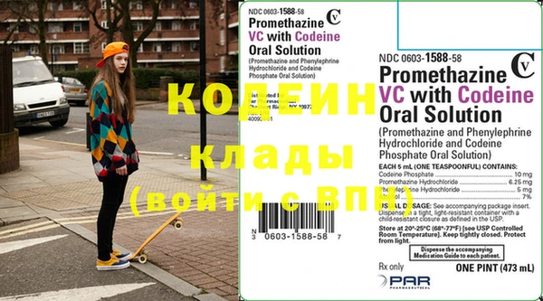 индика Абаза