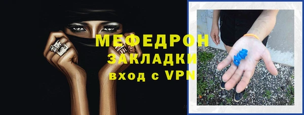 индика Абаза