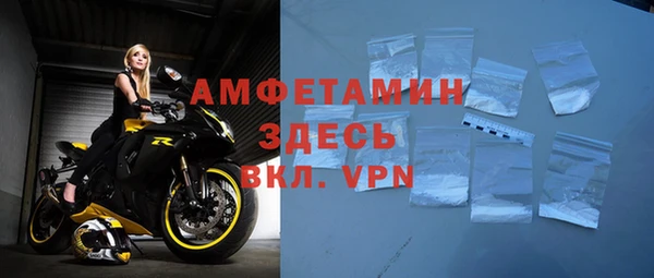 индика Абаза