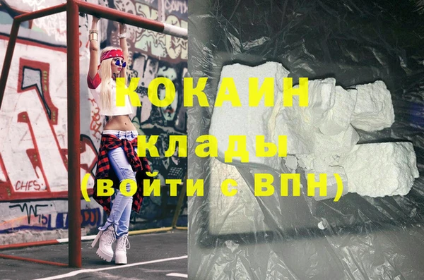 индика Абаза