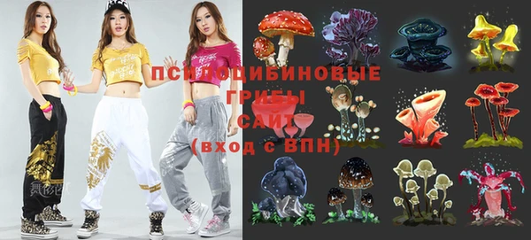 мдпв Алексеевка