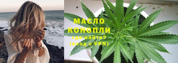 индика Абаза