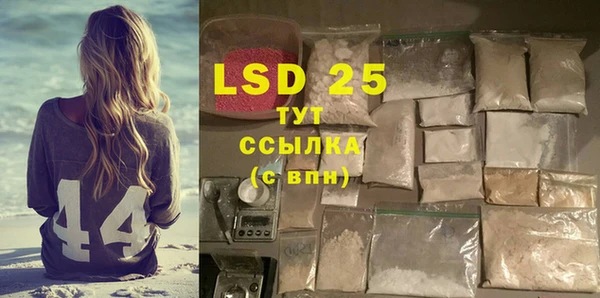 индика Абаза