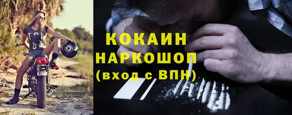 индика Абаза