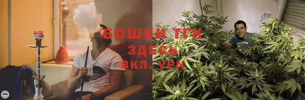 индика Абаза