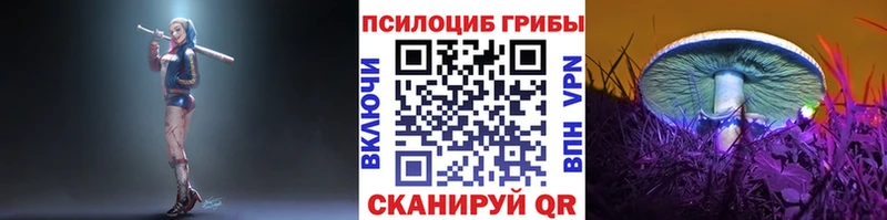 купить наркотик  KRAKEN сайт  Галлюциногенные грибы GOLDEN TEACHER  Киров 
